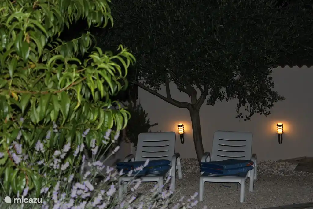 Tumbonas bajo el olivo