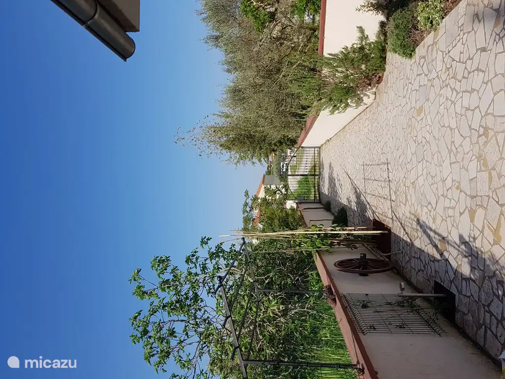 vista a la carretera