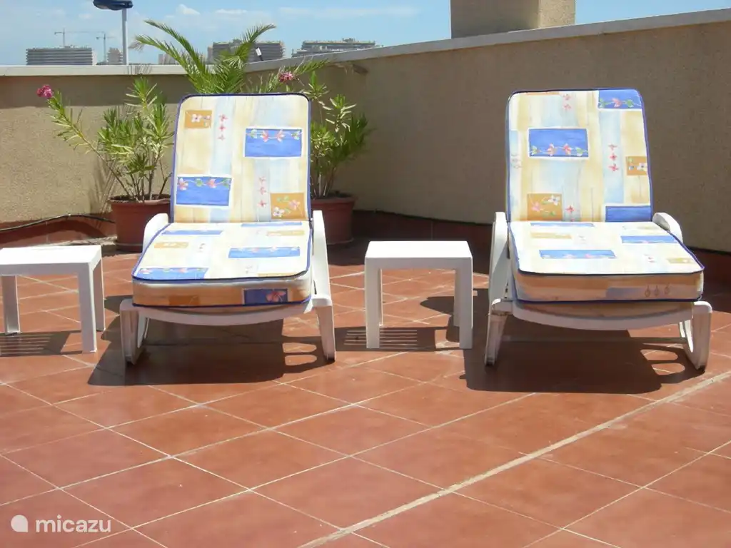 sunbeds 4 pieces enjoy Yummy!