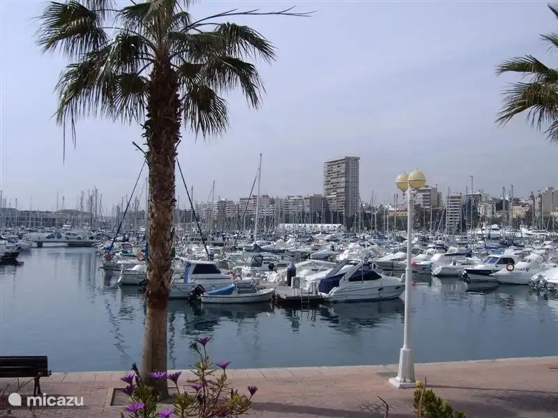Alicante Harbour