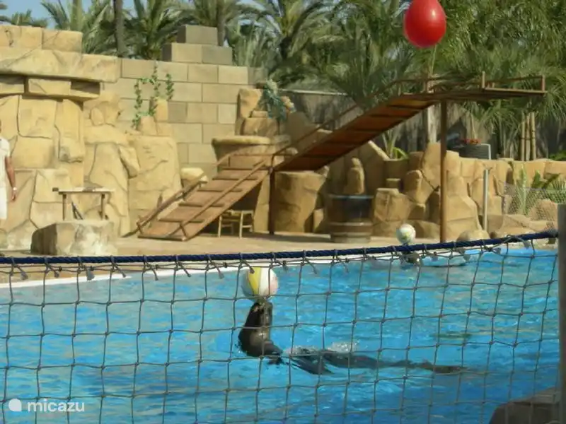 Zoo Rio Safari Elche