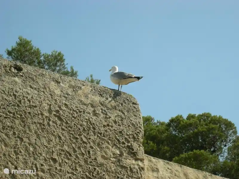 Santa Barbara castle