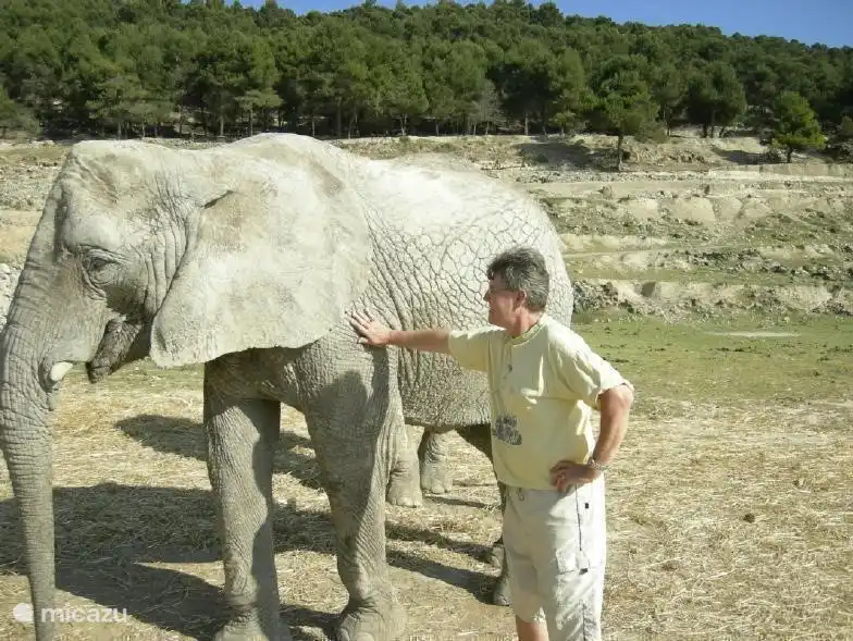 Safari Park Aitana Elche 2: self stroking an elephant