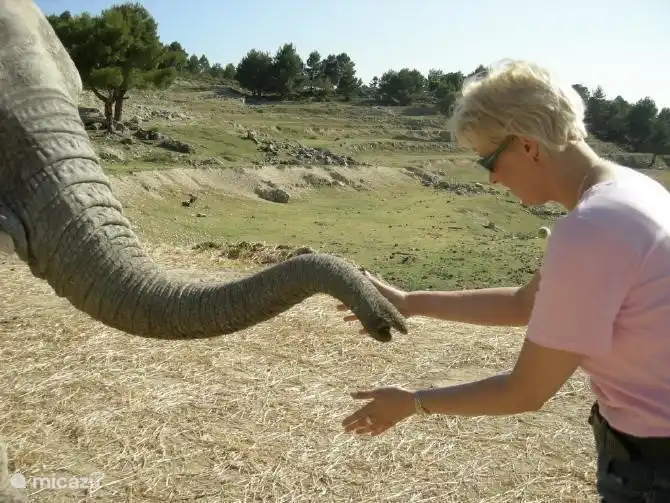 Safari Park Aitana Elche 4