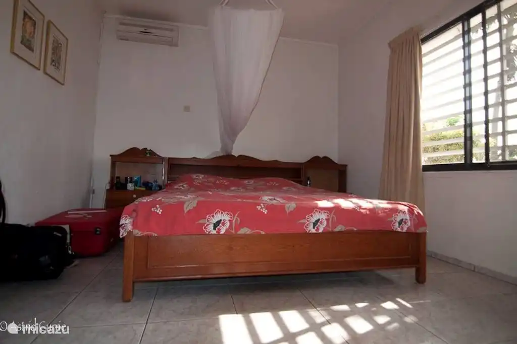 A third bedroom with two single beds. This room overlooks the backyard. You'll morning wake up to the sounds of parrots of different backgrounds!