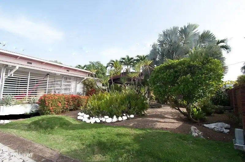 Part of the front garden. In the garden there are about 14 palm species and many other tropical plants such as the typical Surinamese flower: the red-colored Faya Lobi (fiery love).