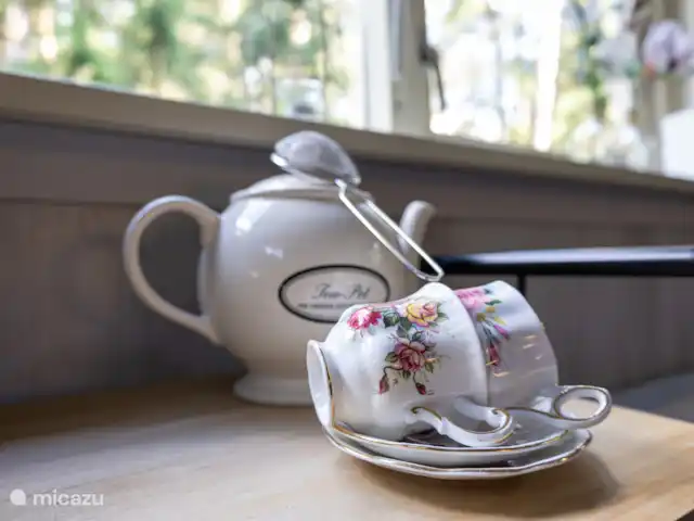 Le Coucou au Bospark de Vliegden | Pays-Bas, Gueldre, Emst (Epe) - chalet Bonne tasse de thé
