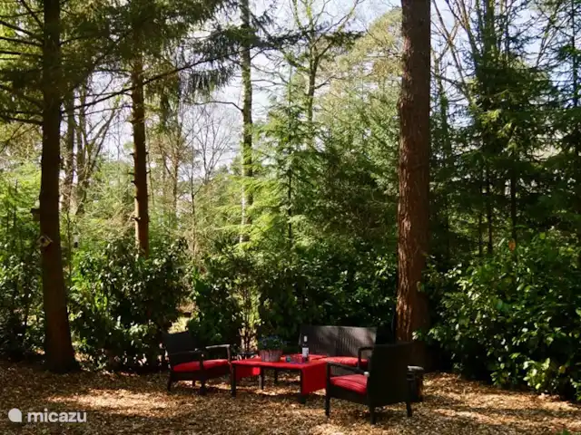 Le Coucou au Bospark de Vliegden | Pays-Bas, Gueldre, Emst (Epe) - chalet coin boisson.