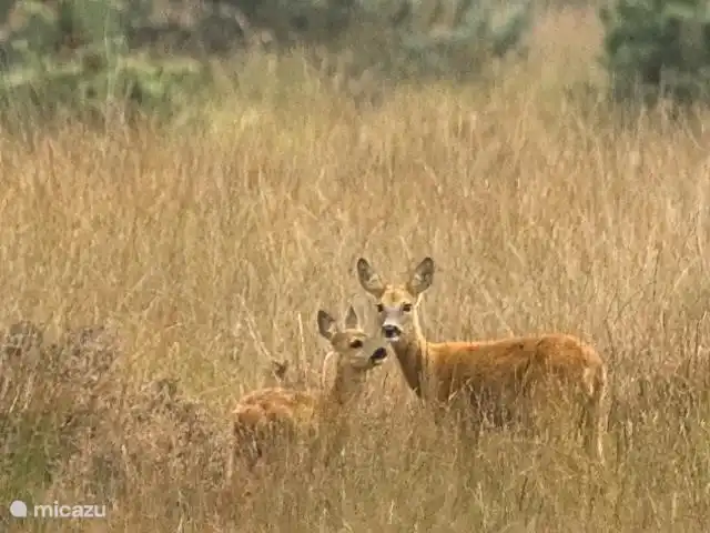 on the other side of the road them against a regular