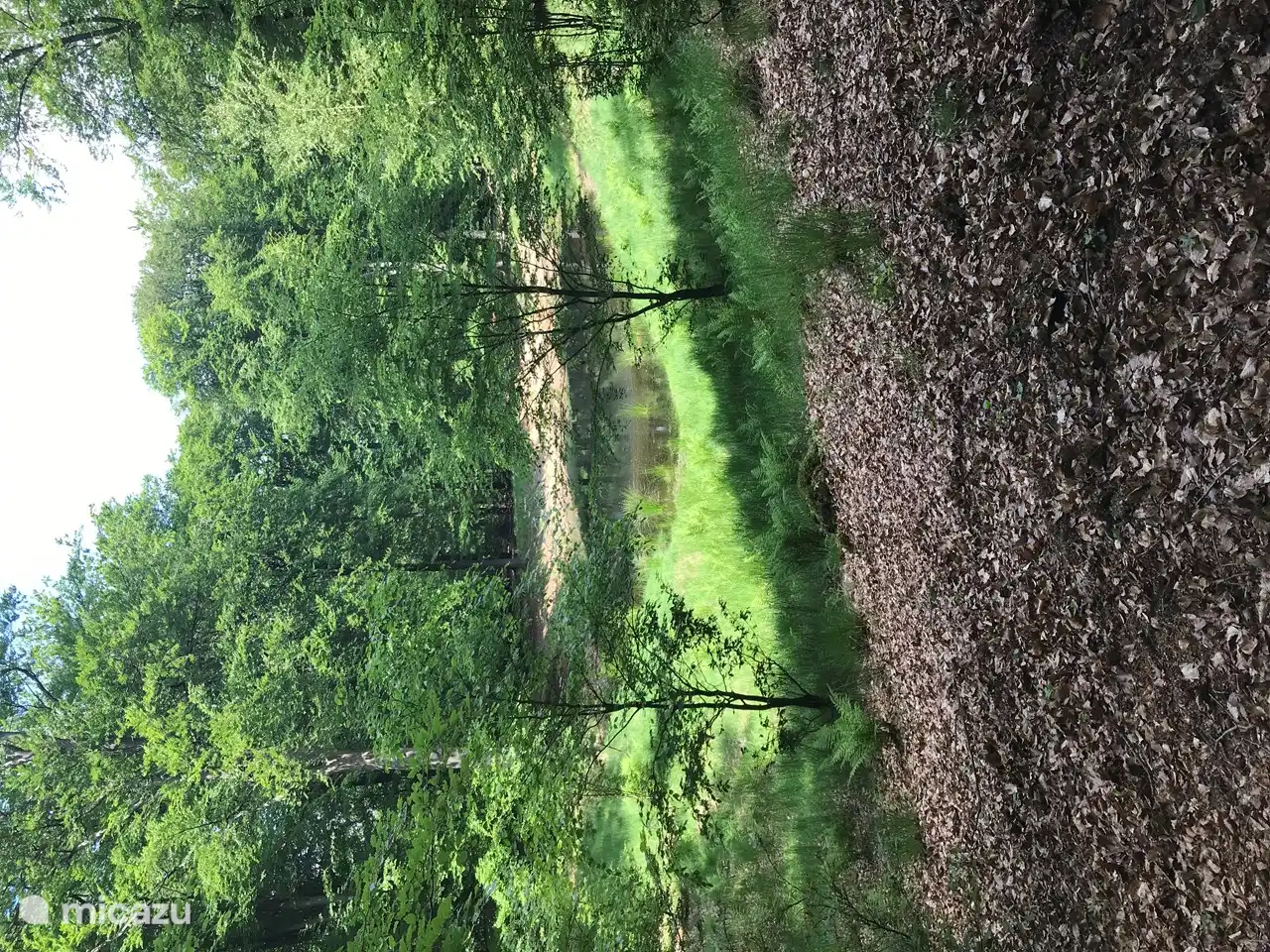 we come across this just on the way on the bike.