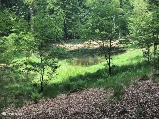 Le Coucou au Bospark de Vliegden | Pays-Bas, Gueldre, Emst (Epe) - chalet nous venons de rencontrer cela sur le chemin du vélo.