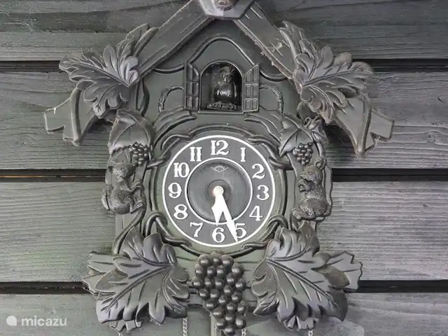 Le Coucou au Bospark de Vliegden | Pays-Bas, Gueldre, Emst (Epe) - chalet Bien sûr, l'horloge ne manque pas. COUCOU