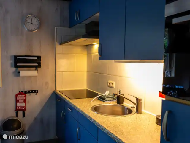 Le Coucou au Bospark de Vliegden | Pays-Bas, Gueldre, Emst (Epe) - chalet Cuisine avec four à induction et four mixte, micro-ondes