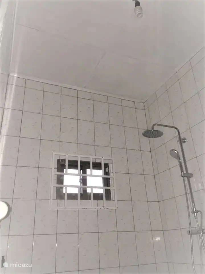Beneficial DepositShower Amazonia.