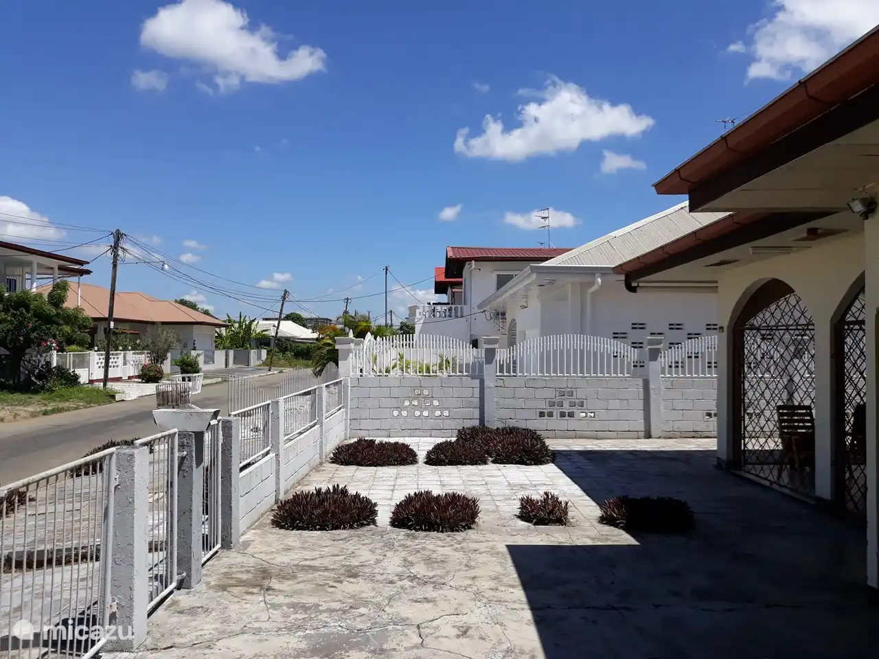 Beautiful plantings in the front garden ... Eggplant and Bordeaux Red and Green plants, give peace and nature directly at the house and your terrace.