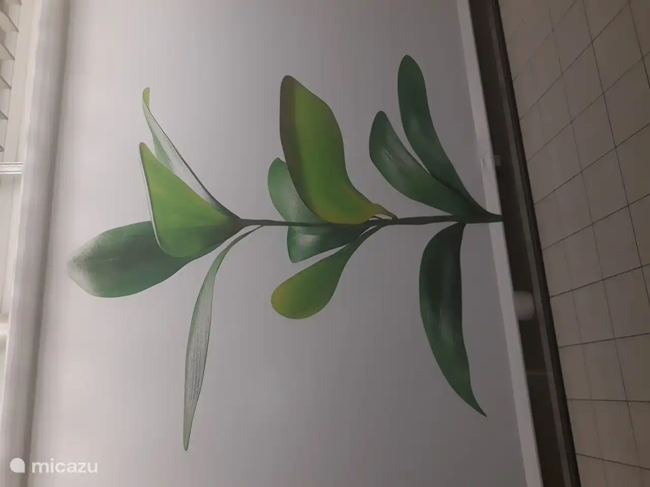 ....Capture Nature at it's Brightest