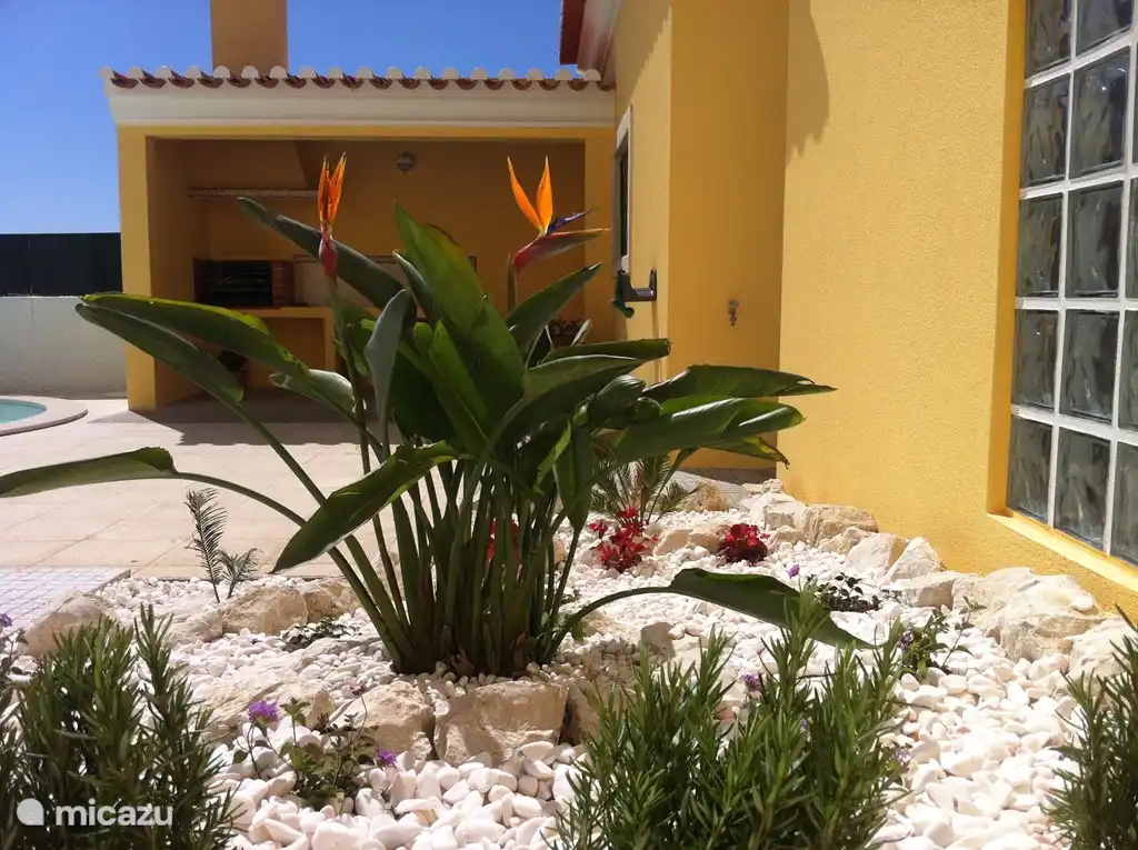 Rund um die Villa mit einem wunderschönen Garten.