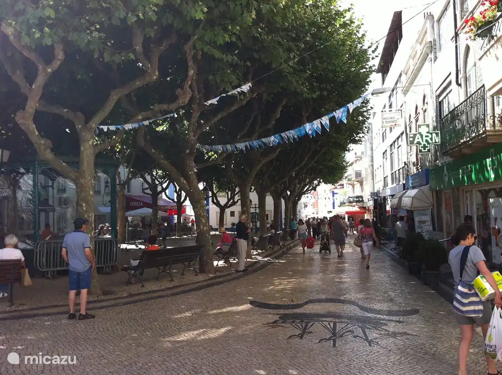 Das charmante Fischerdorf Ericeira.