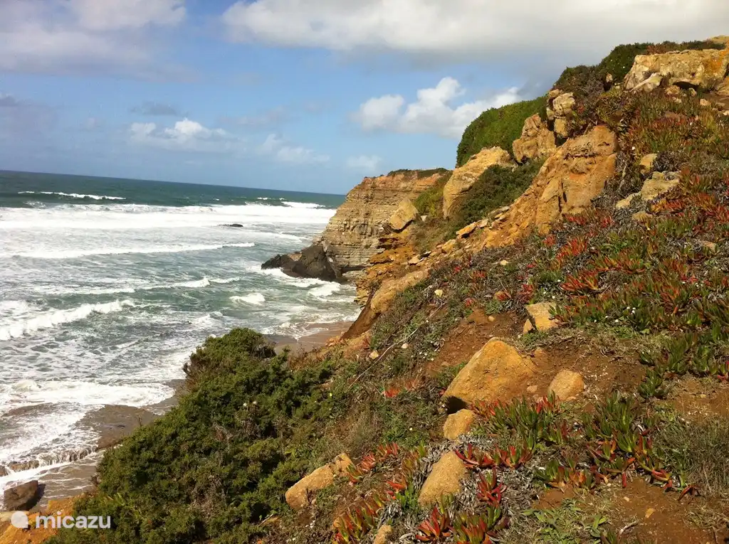 Die schöne Küste von Ericeira.