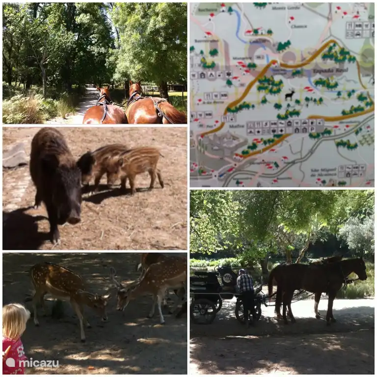 Tapada, ein schöner Park in der Nähe von Villa dos Limoeiros.