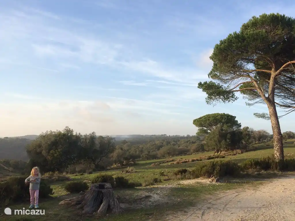 Tapada, ein schöner Park in der Nähe von Villa dos Limoeiros.