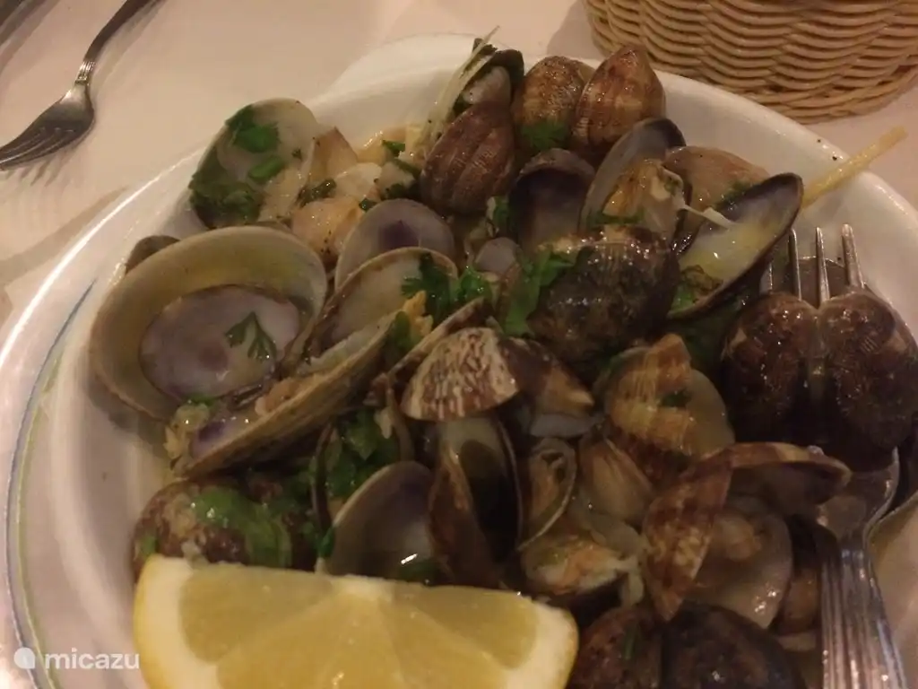 Für frischen Fisch sollte auf jeden Fall in Ericeira sein