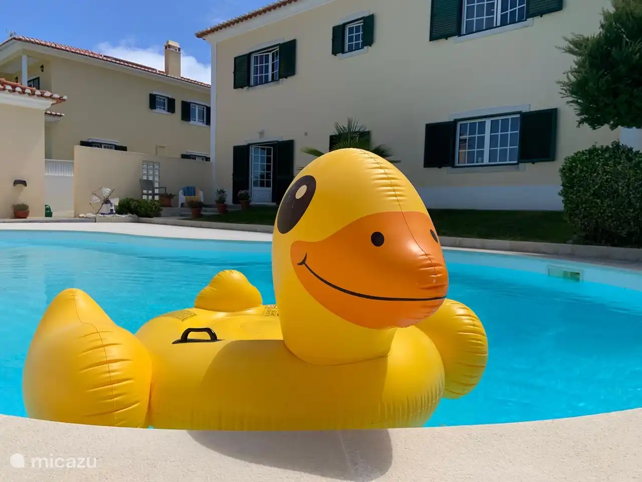 Ein schöner großer Pool für Sie alleine.