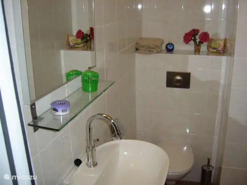 toilet / bathroom, modern washbasin with mirror and towel rack, wall closet with stainless steel pressure panel