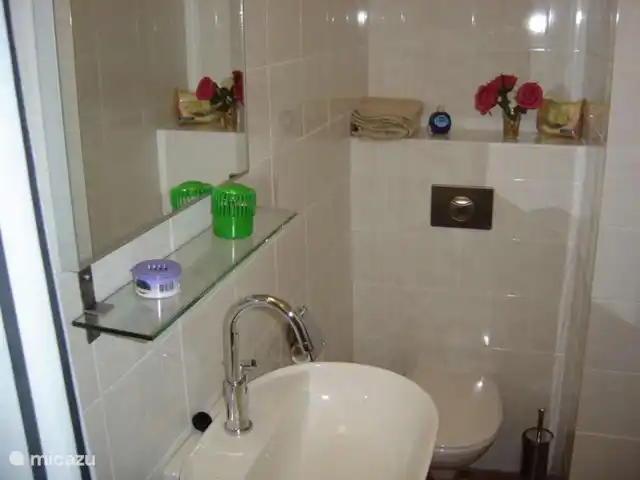 Location de Vacances Suriname, Paramaribo, Paramaribo, maison de vacances - Oso Truus WC/salle de bain, lavabo moderne avec miroir et porte-serviettes, WC suspendu avec panneau à pression en acier inoxydable