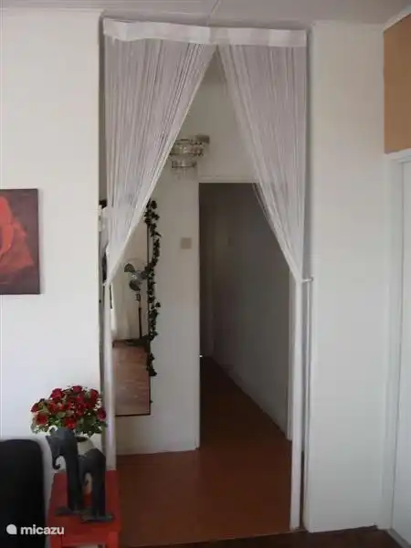 corridor with full length mirror