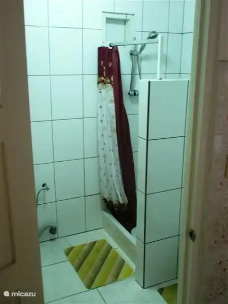 Das zweite Bad mit WC, Dusche und Waschmaschine.