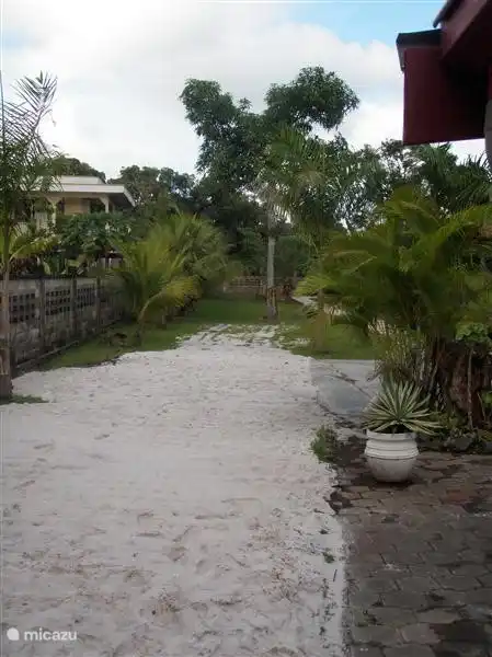 Blick auf den hinteren Teil des Gartens.