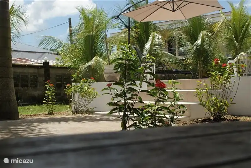 Neuanpflanzungen wird rund um den Pool angeordnet.