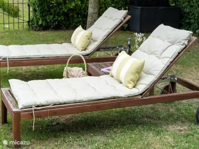 Koetshuis `t Geyn - Landgoed Noorden | Pays-Bas, Gueldre, Deil - maison de vacances Chaises longues à côté de Coach House