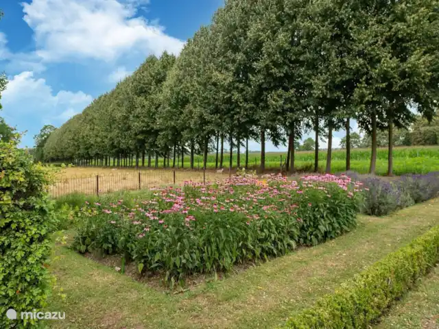Koetshuis `t Geyn - Landgoed Noorden | Pays-Bas, Gueldre, Deil - maison de vacances Le jardin