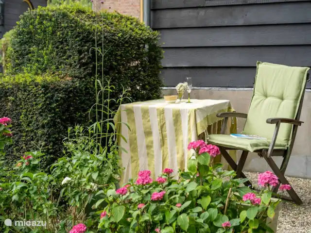 Koetshuis `t Geyn - Landgoed Noorden | Pays-Bas, Gueldre, Deil - maison de vacances Terrasse