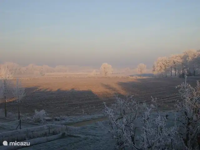 Koetshuis `t Geyn - Landgoed Noorden | Pays-Bas, Gueldre, Deil - maison de vacances Vue d'hiver Remise à calèches