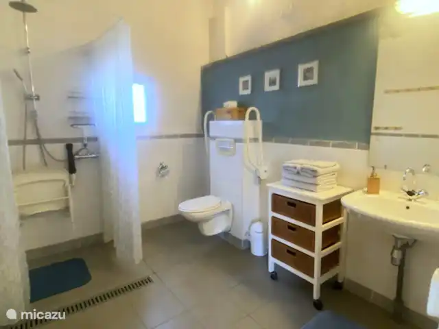 Location vacances Hirondelle Rustique | France, Nièvre, Anlezy - maison de vacances Salle de bain lumineuse, très spacieuse et accessible aux fauteuils roulants avec toilettes