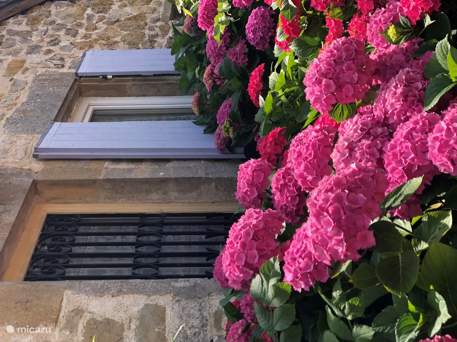 Detail Gîtes mit Hortensien