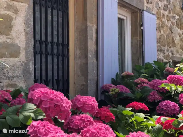 Location vacances Hirondelle Rustique | France, Nièvre, Anlezy - maison de vacances Détail gîtes avec hortensias