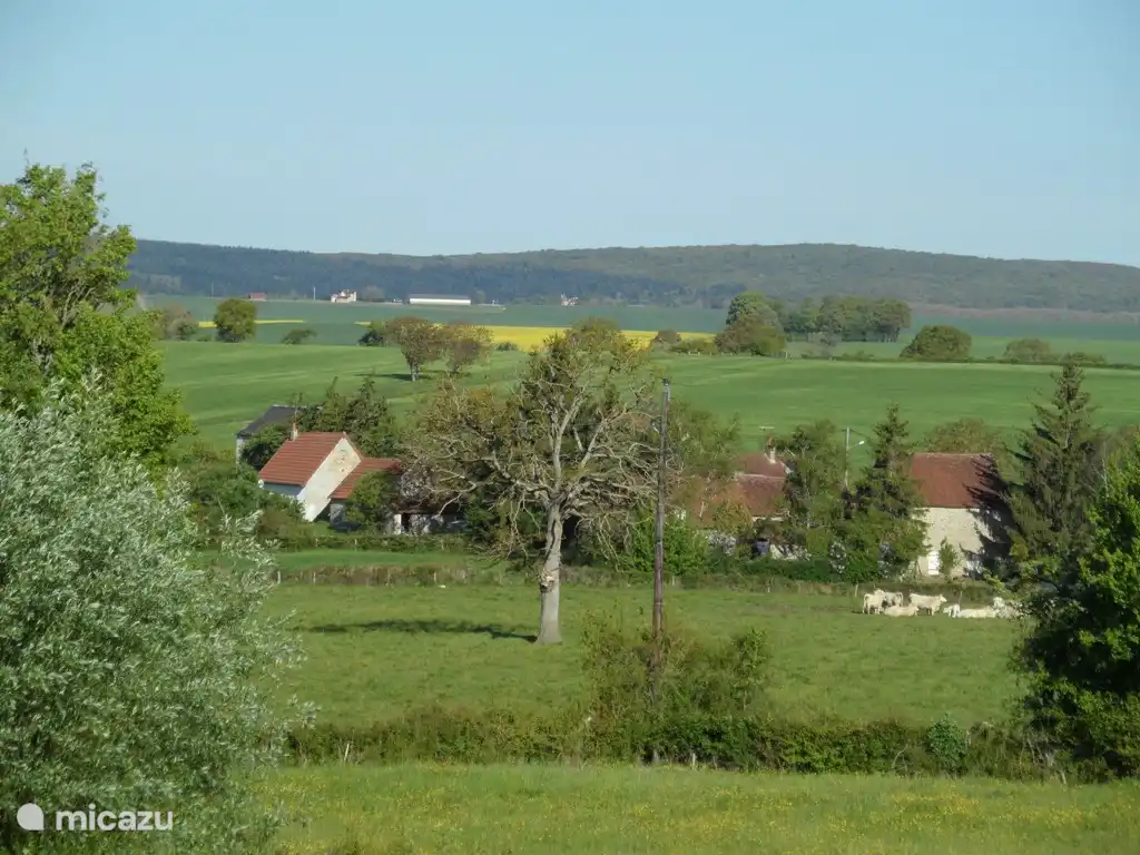 Blick auf die Umgebung von Gros Sauvigny