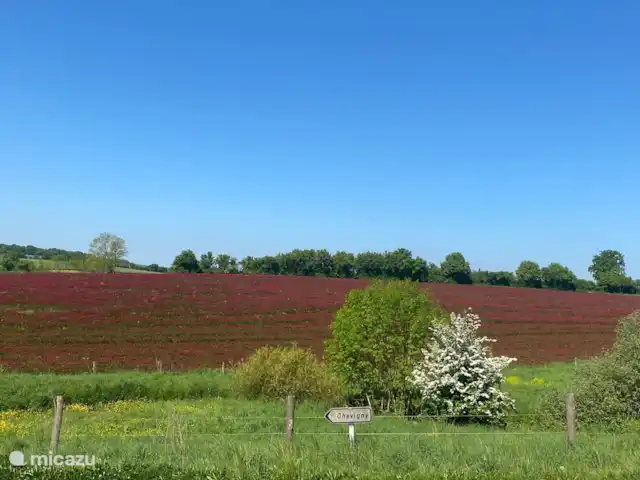 Location vacances Hirondelle Rustique | France, Nièvre, Anlezy - maison de vacances Paysage varié et vallonné