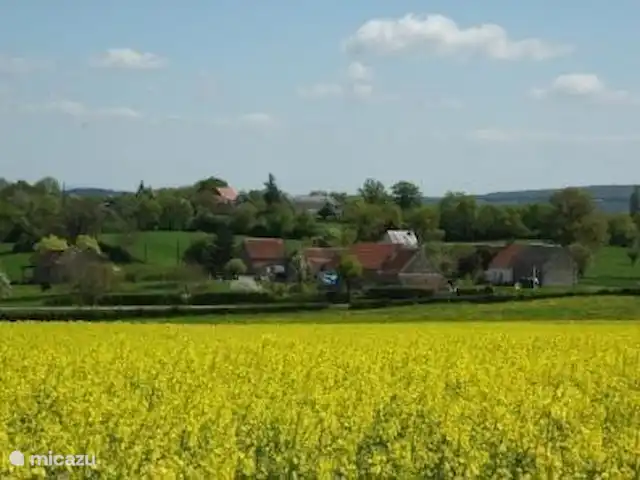 Location vacances Hirondelle Rustique | France, Nièvre, Anlezy - maison de vacances Champs de colza
