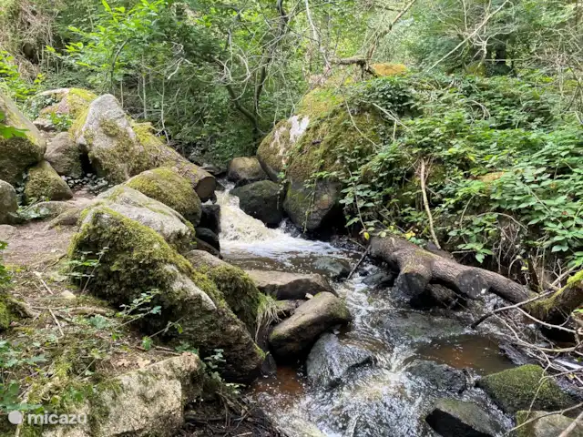Location vacances Hirondelle Rustique | France, Nièvre, Anlezy - maison de vacances Gorges de Lormes