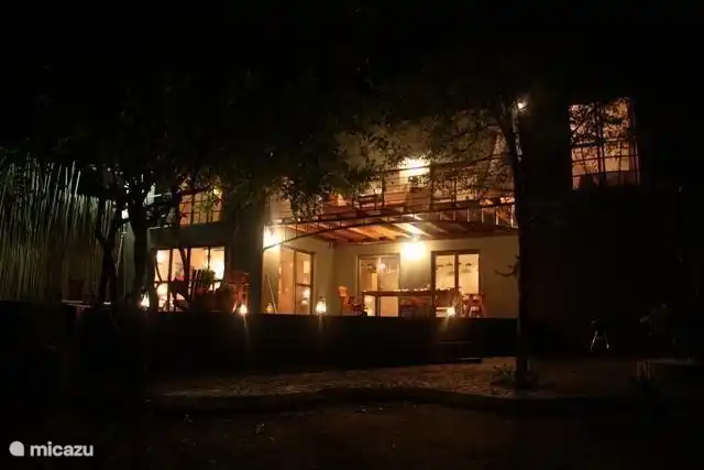 Nido de cebra de noche