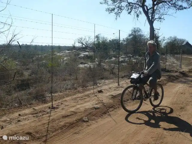 Ciclismo a lo largo de la valla Kruger