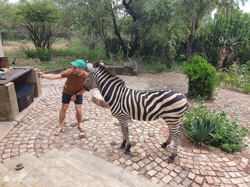 Holiday home in South Africa, Mpumalanga, Marloth Park Holiday house Zebra's Nest House Kruger Park