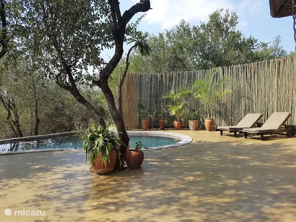 Cuando hace calor, lo único que apetece es poder darse un chapuzón en la piscina. Zebra's Nest tiene una bonita piscina en medio de la selva. Muy especial cuando pasan las cebras o los impalas.