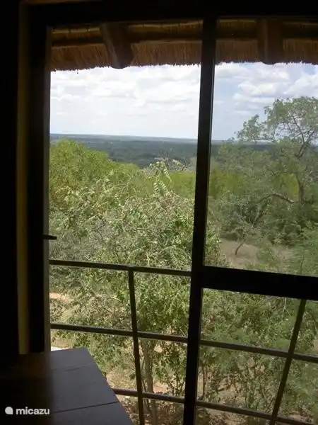 Desde las habitaciones de la planta superior se puede mirar directamente al Parque Kruger. ¡Vista despejada!