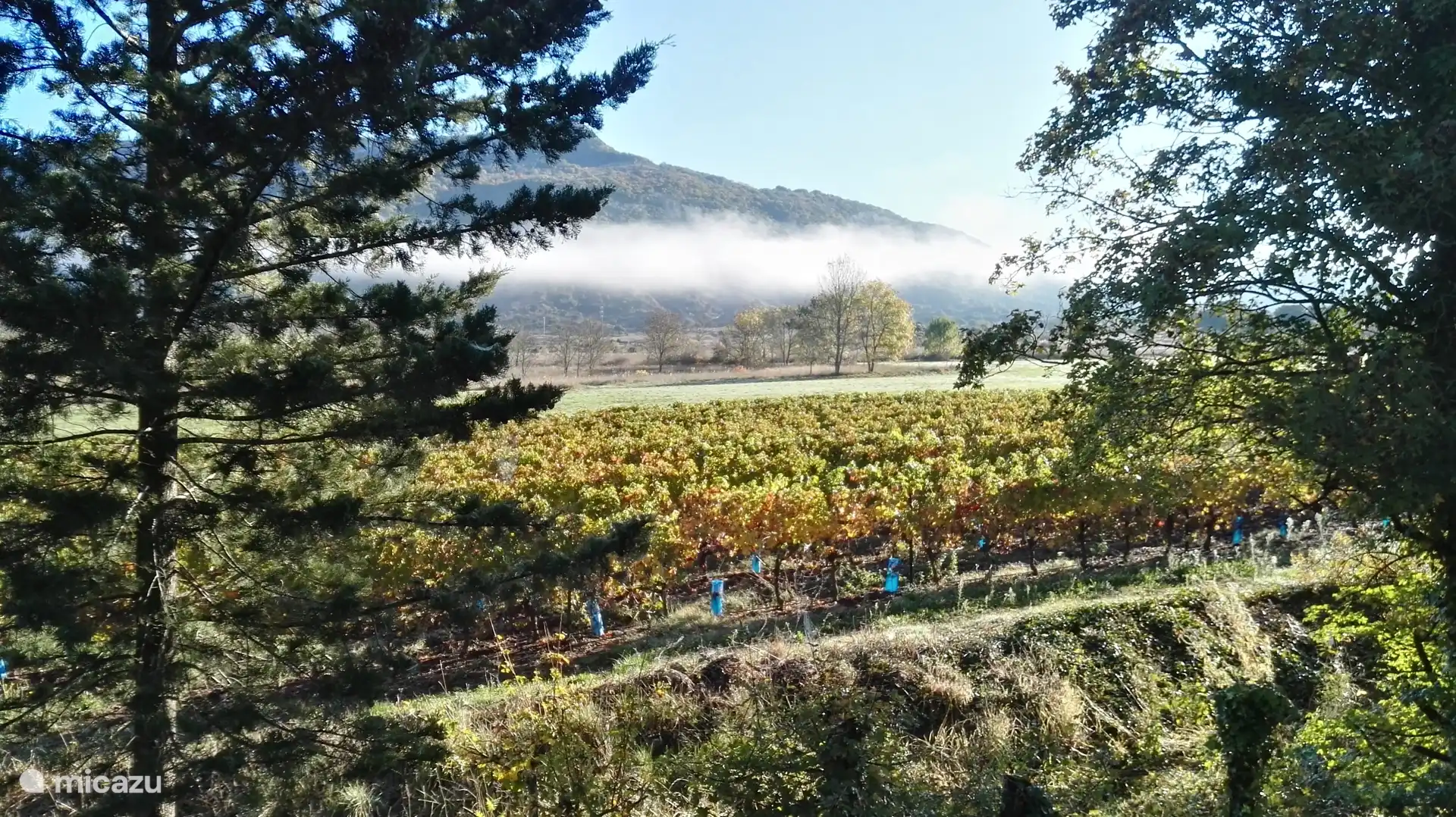 Next to home, fall 2024